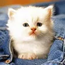 @nagibator007baby