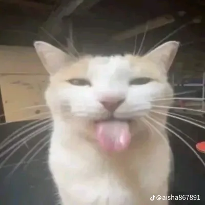 @usertd1609