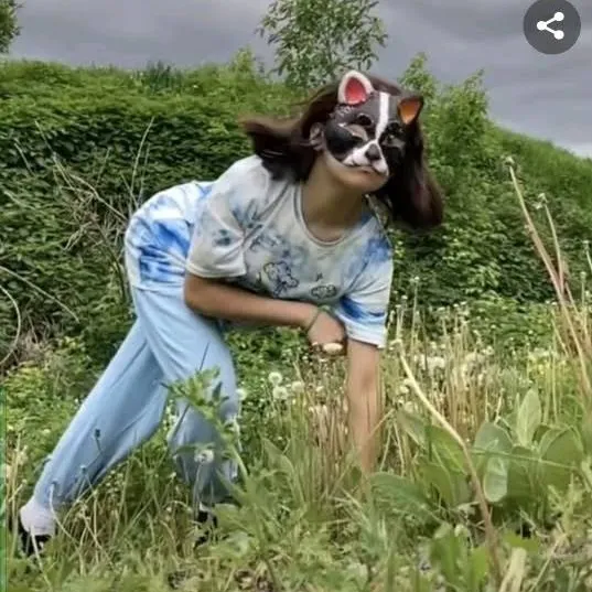 @deardiaryfurrylife
