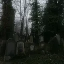 @anes.279