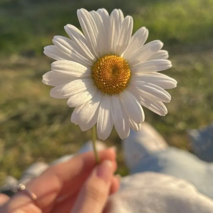 reemyy1101
