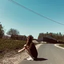 @iroshkai