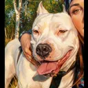 @bella_white_amstaff