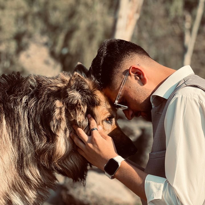 K2 🐶 - original sound