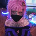 @web__meow