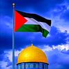 usman.jutt744