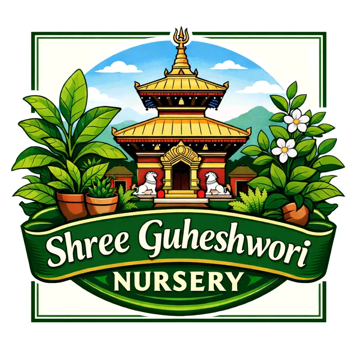 @shreeguheshworinursery