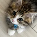 @chamu_1028