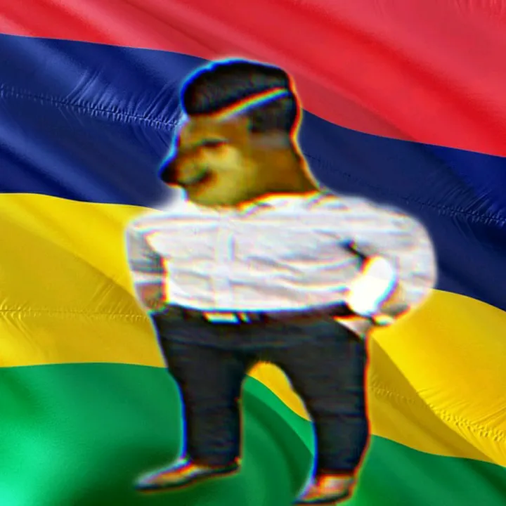 @mauriciostonks