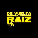 @dvlraiz