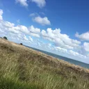 @fischijammi