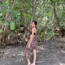@xx.jiazz
