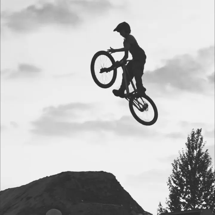 alistaur_mtb