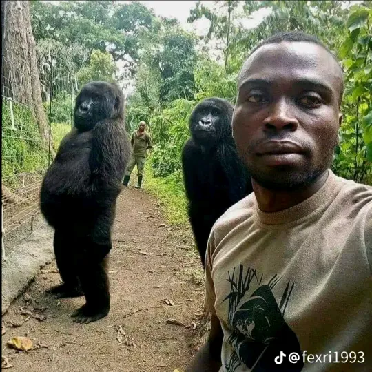 veli_baba666