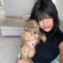 @dayana04130