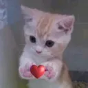@varelina69