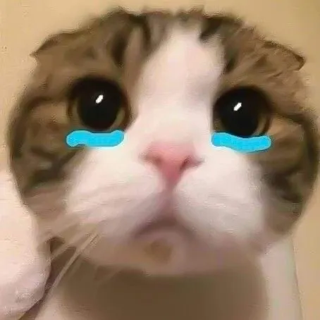 @phuctiensad