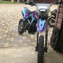 @bsearsenii228