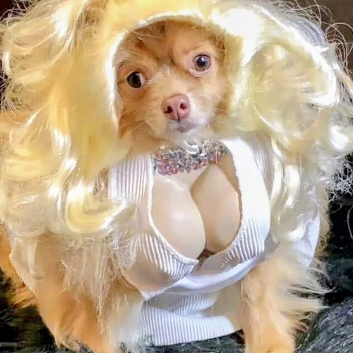 la_barbie_liss1