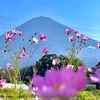 kanta09296