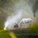 @eastern_exposure