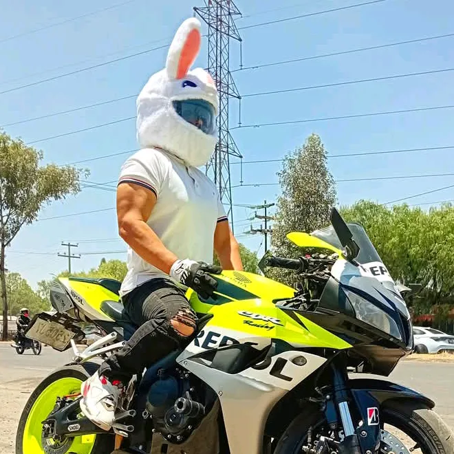 @bikergreen600