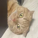 @maya._.1001