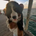 @bobby_berner