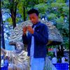 dachaasabariso1