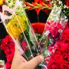 alimsanto_03