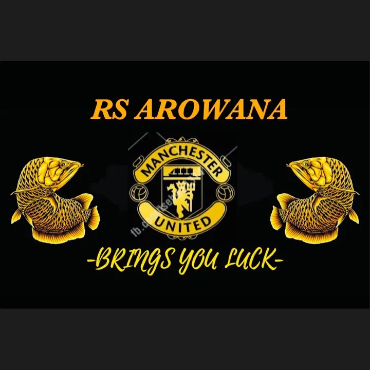 @rs_arowana2021