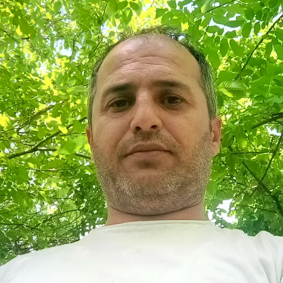 amid.85