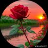user5461992561884