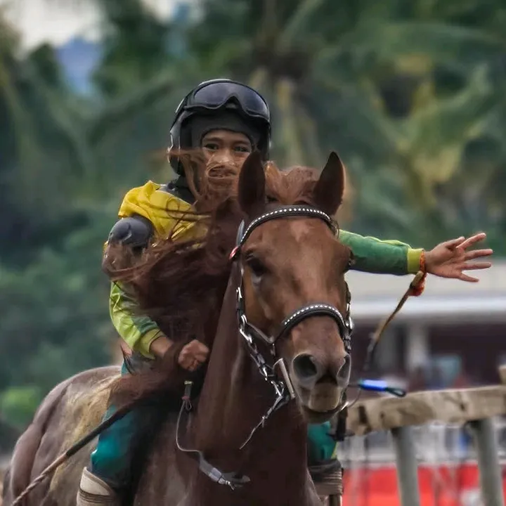 @equine.cinematics