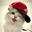 @muhsyah0