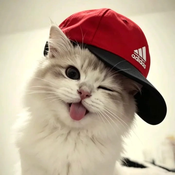 @muhsyah0
