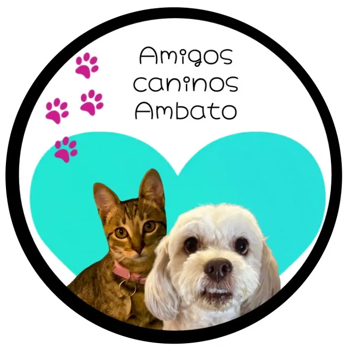 @amigoscaninos_ambato