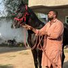 pehlwanqadeerjatt