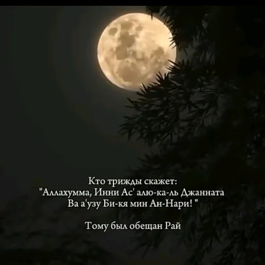 askirovatahira