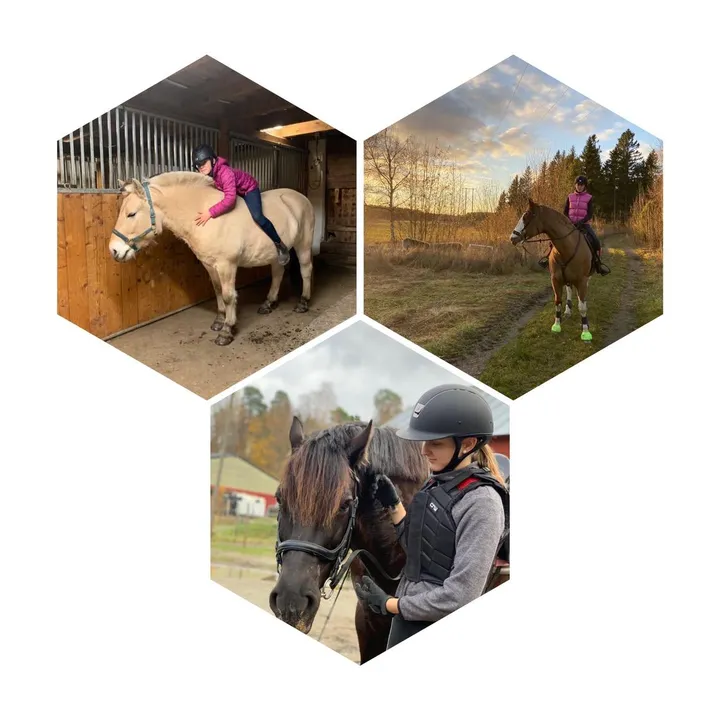 equestrian_sweden_