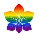 @thebelizecollection