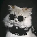 @estrera2.0