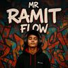 mr_ramit_flow