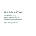@413c173fvcky0u