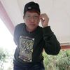 tommykat02