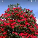 @asmitaghalan60