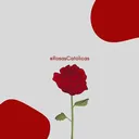 @rosascatolicas