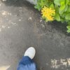 yhnwhyu_