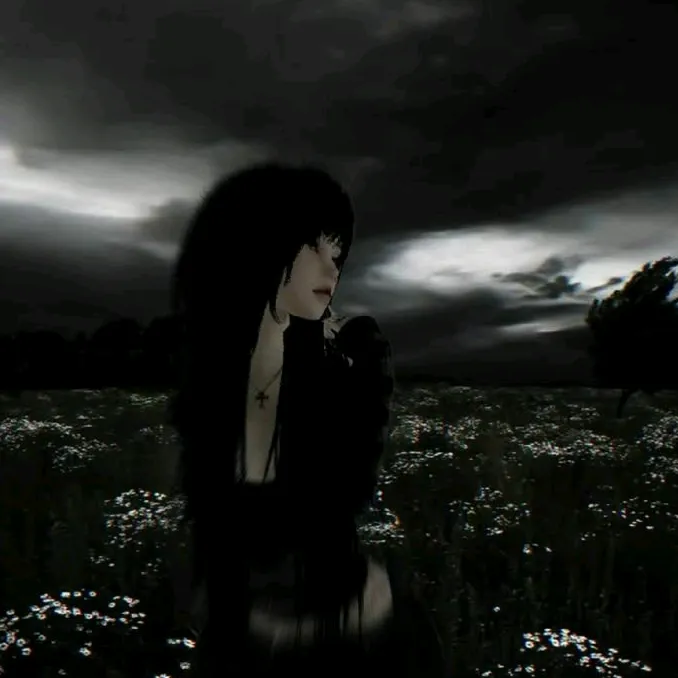 anime_myzeynep