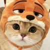 kairzz_latte